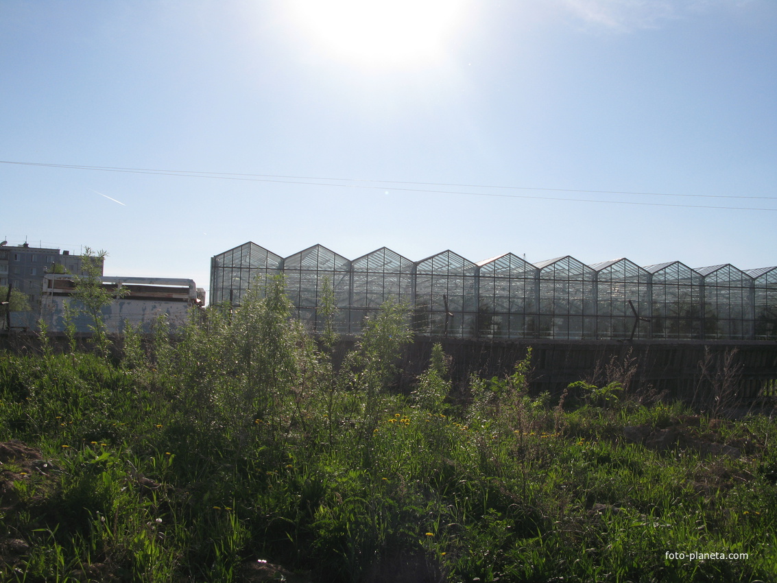 Сыктывкар 2014 -  ул. Тентюковская