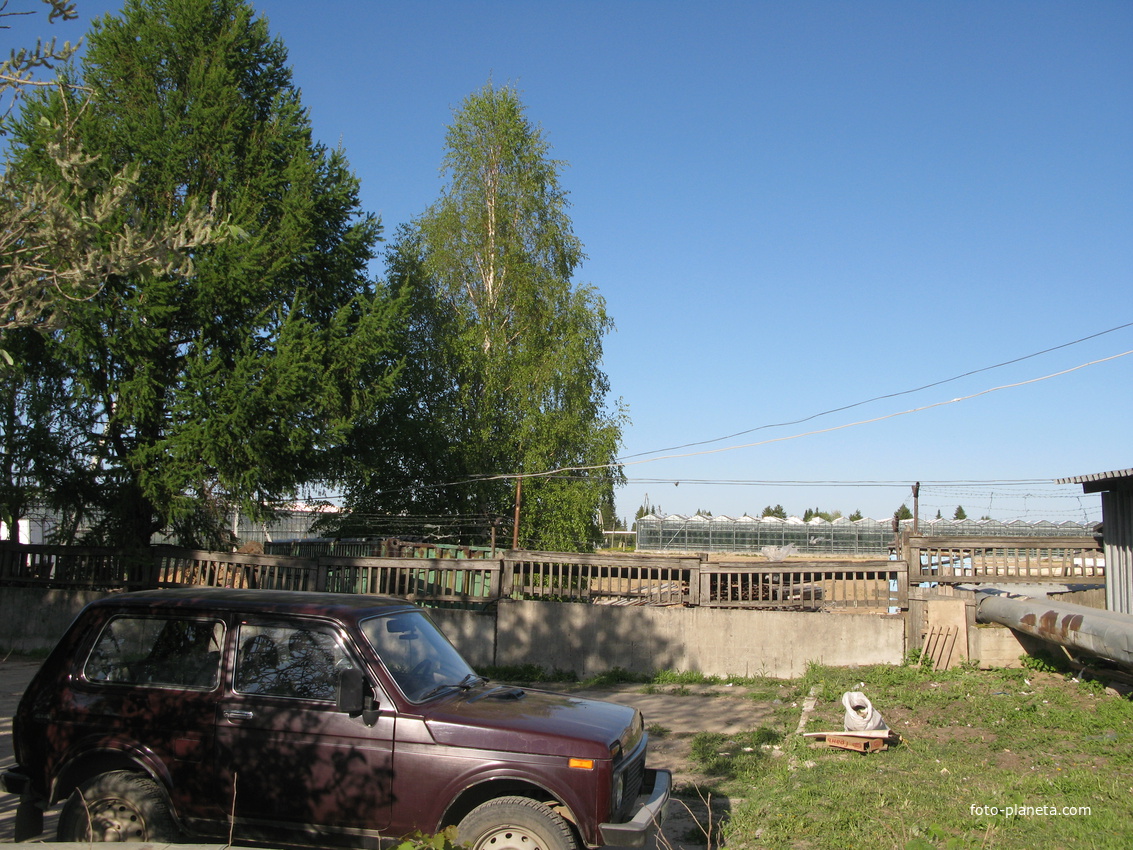 Сыктывкар 2014 -  ул. Тентюковская