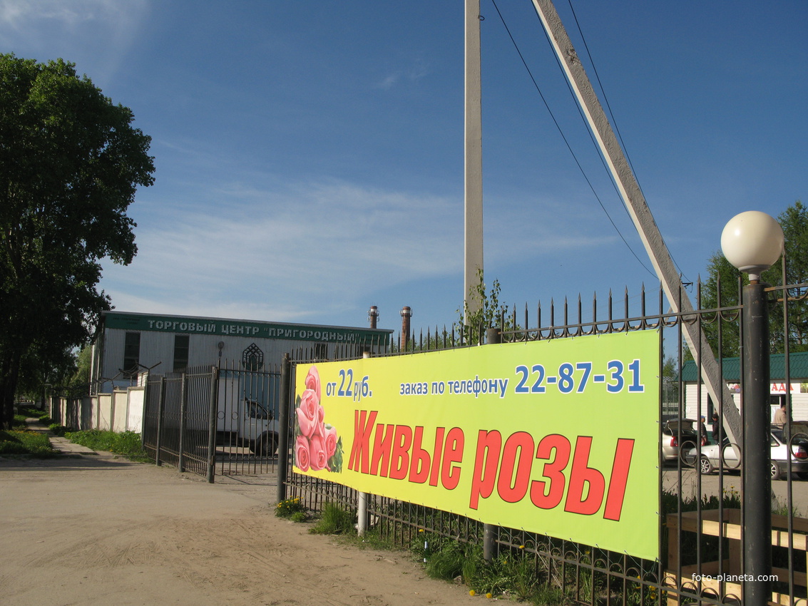 Сыктывкар 2014 -  ул. Тентюковская