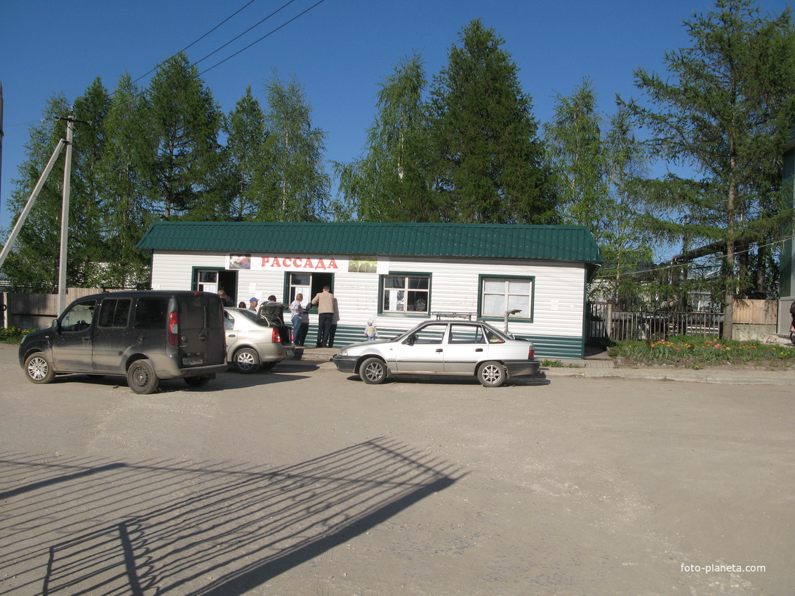 Сыктывкар 2014 -  ул. Тентюковская