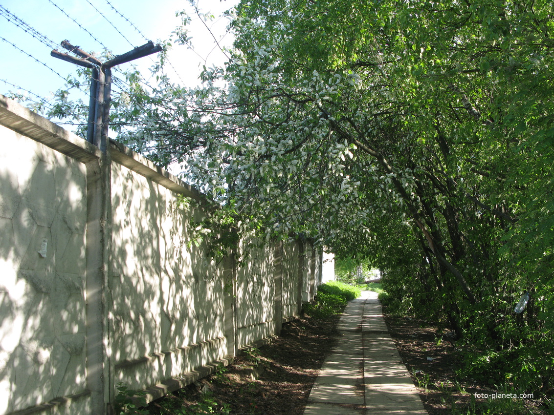 Сыктывкар 2014 -  ул. Тентюковская