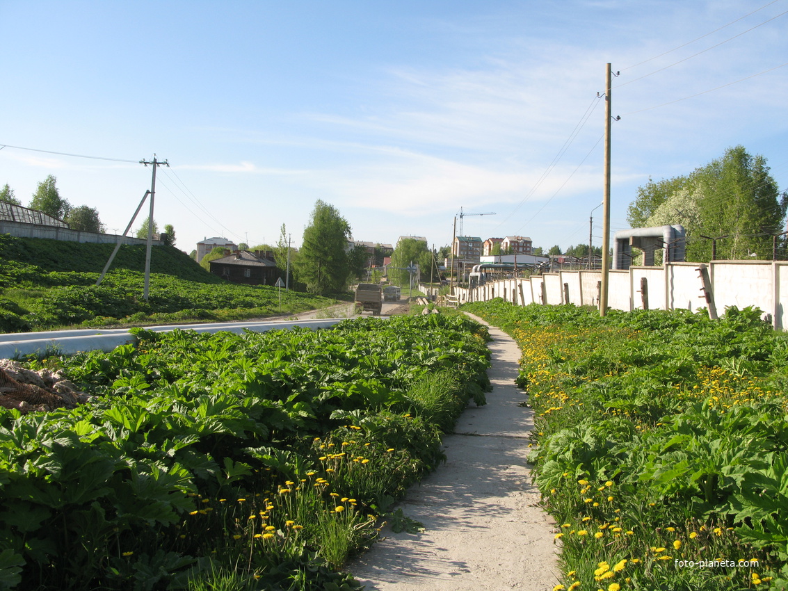 Сыктывкар 2014 -  ул. Тентюковская