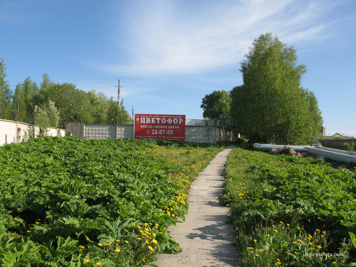 Сыктывкар 2014 -  ул. Тентюковская