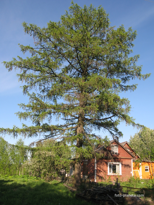 Сыктывкар 2014 -  ул. Нагорная