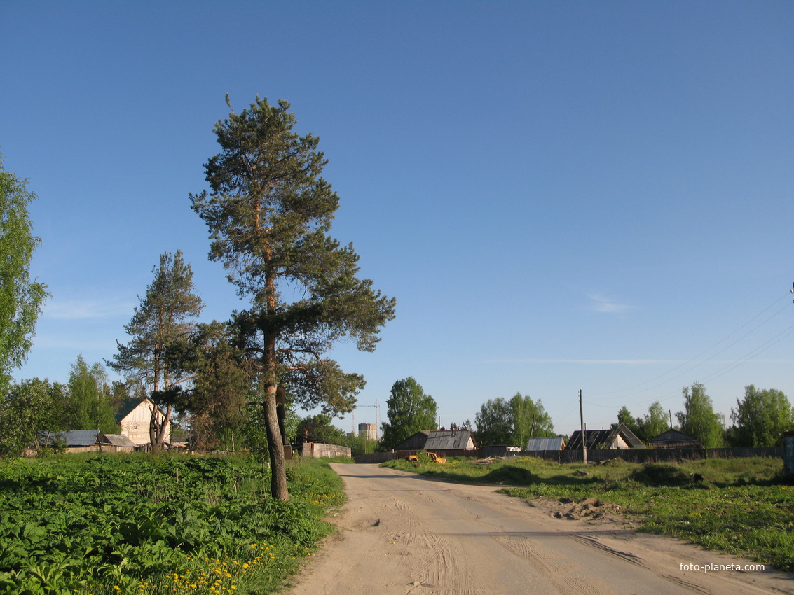 Сыктывкар 2014