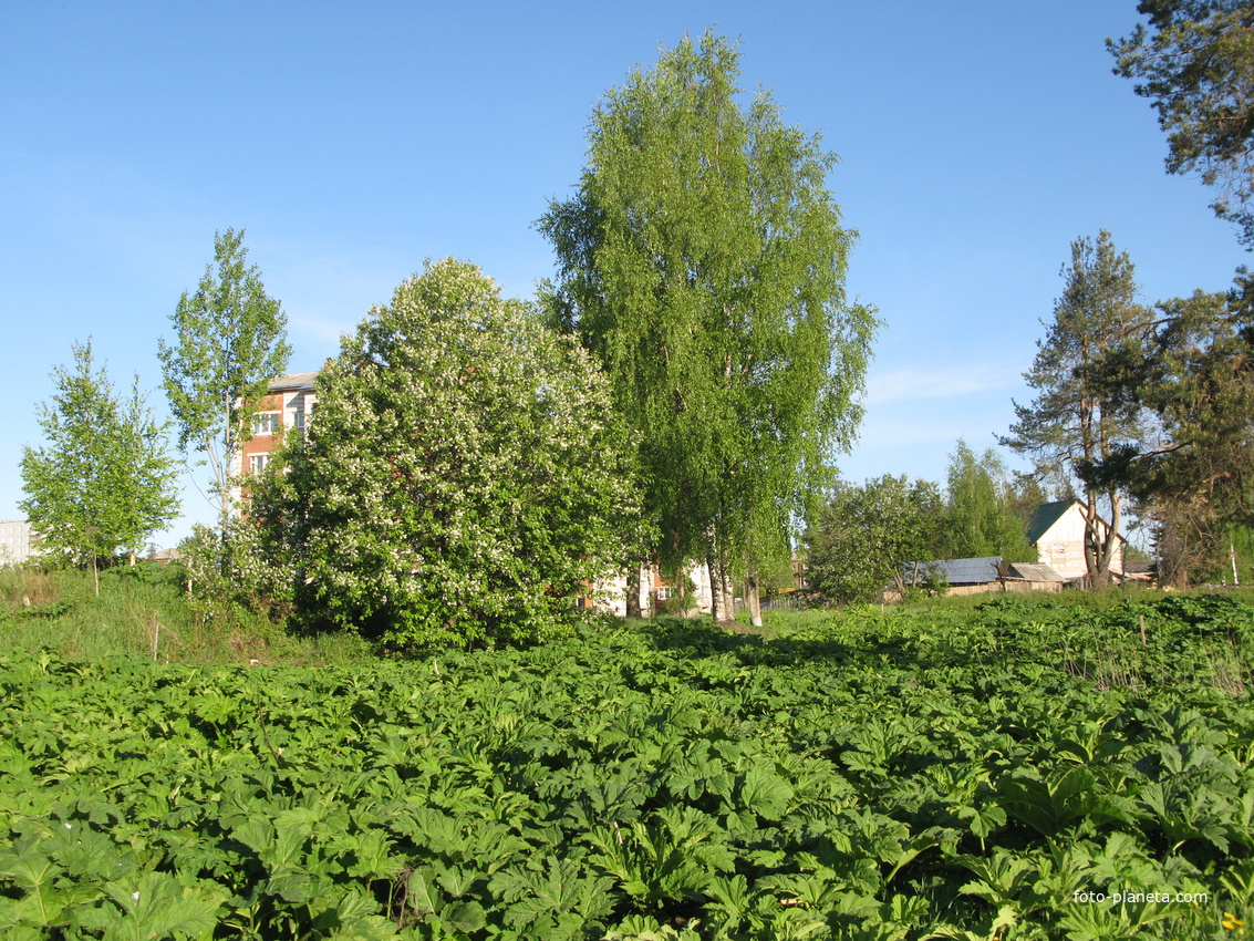 Сыктывкар 2014