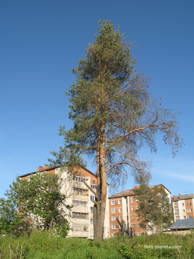 Сыктывкар 2014