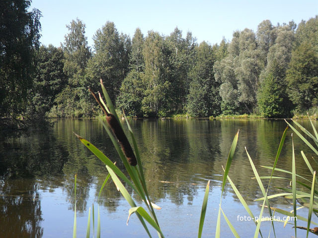 Пиштанский пруд в 2013 году.