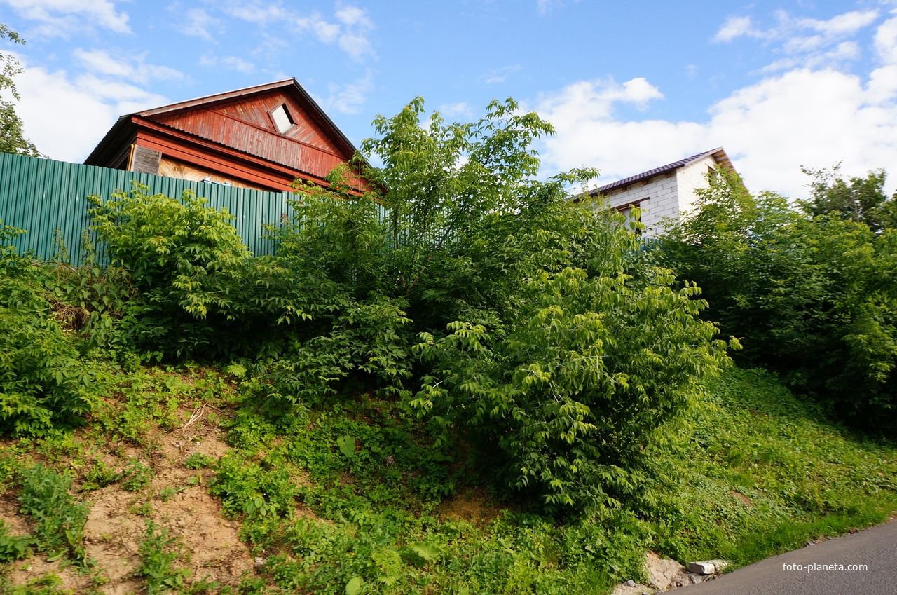 Улица Ильича