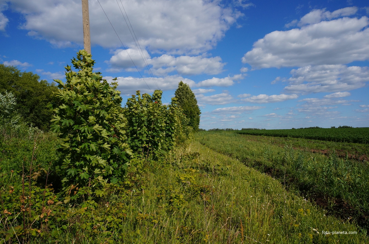 Коростылево