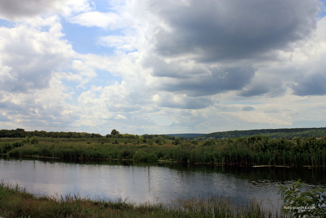 Природа города Шебекино