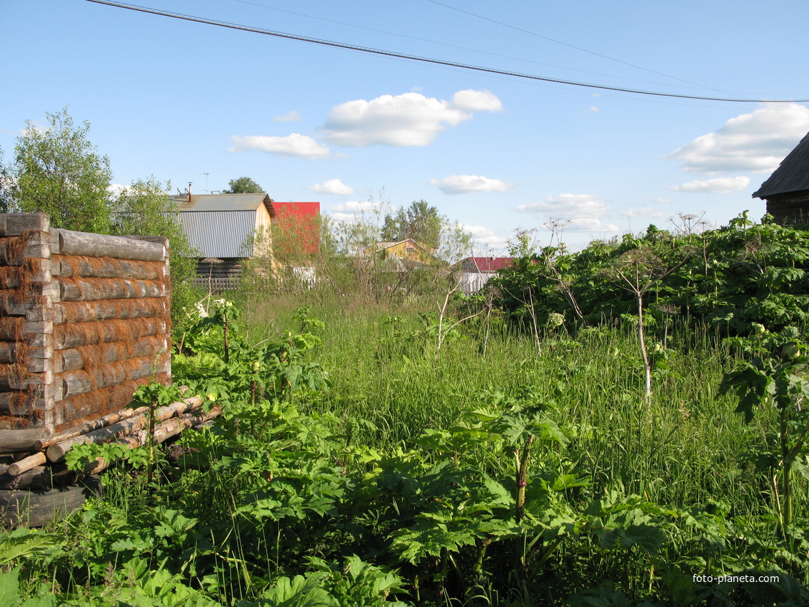 Выльгорт 2014 - ул. Желехнодорожная