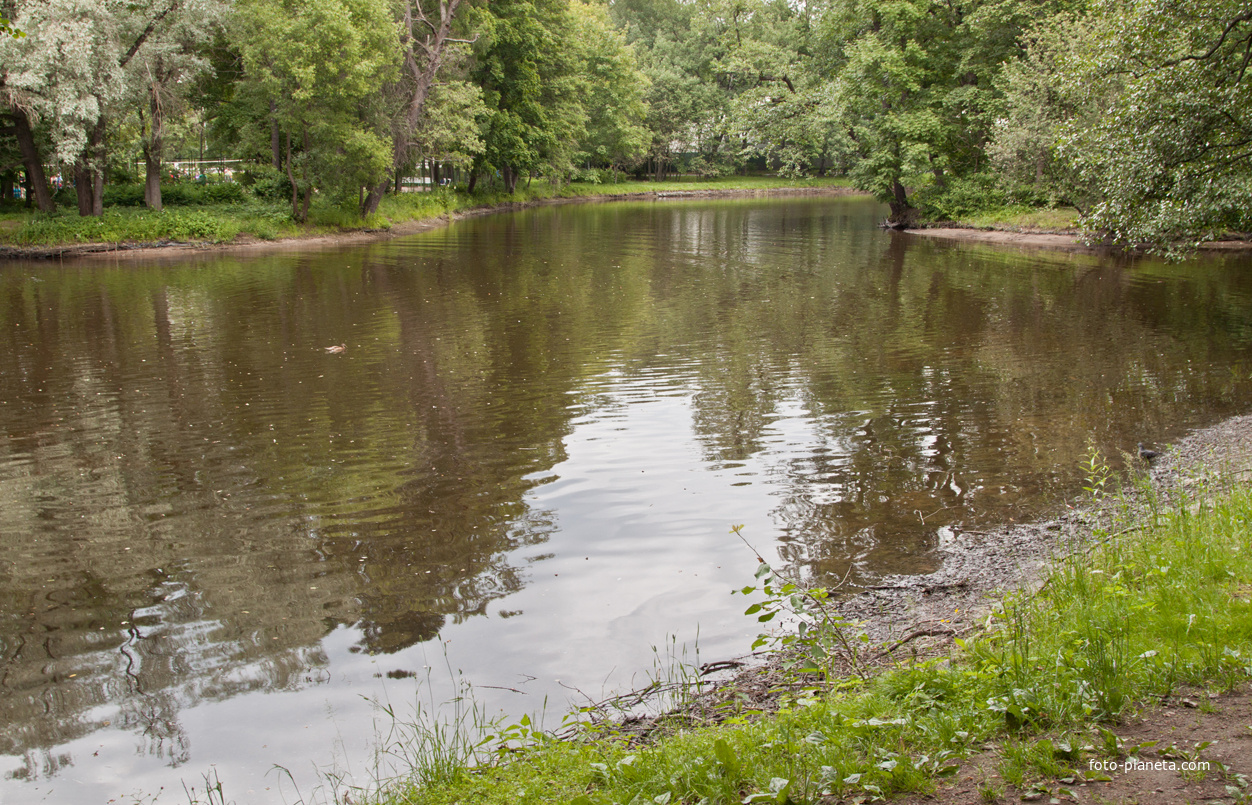 3-й Северный пруд