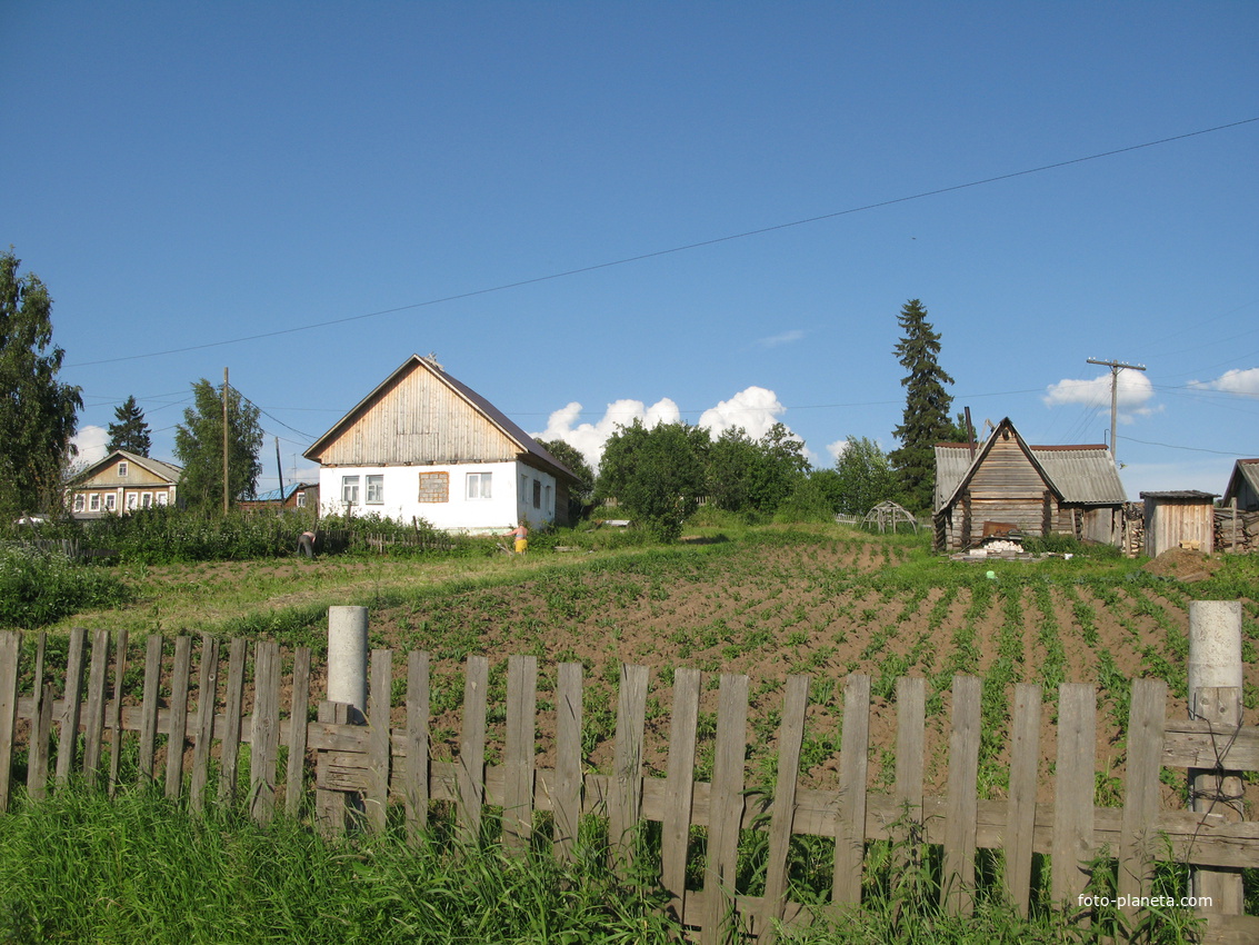 Выльгорт 2014 - ул. Полевая