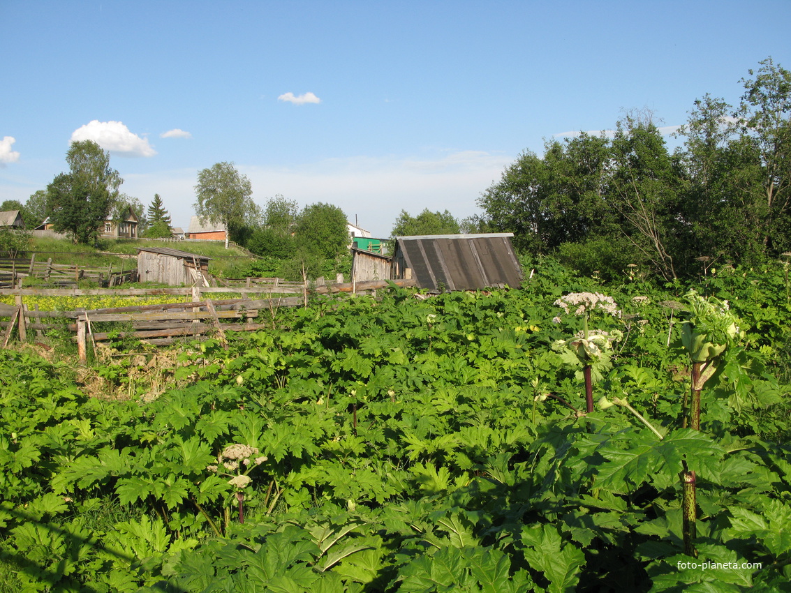 Выльгорт 2014 - ул. Нагорная