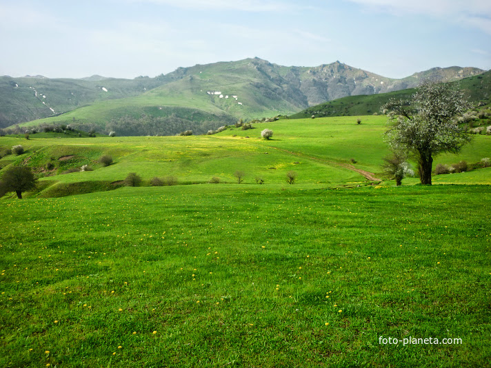 Astara Hamoşaam Bi qıyə