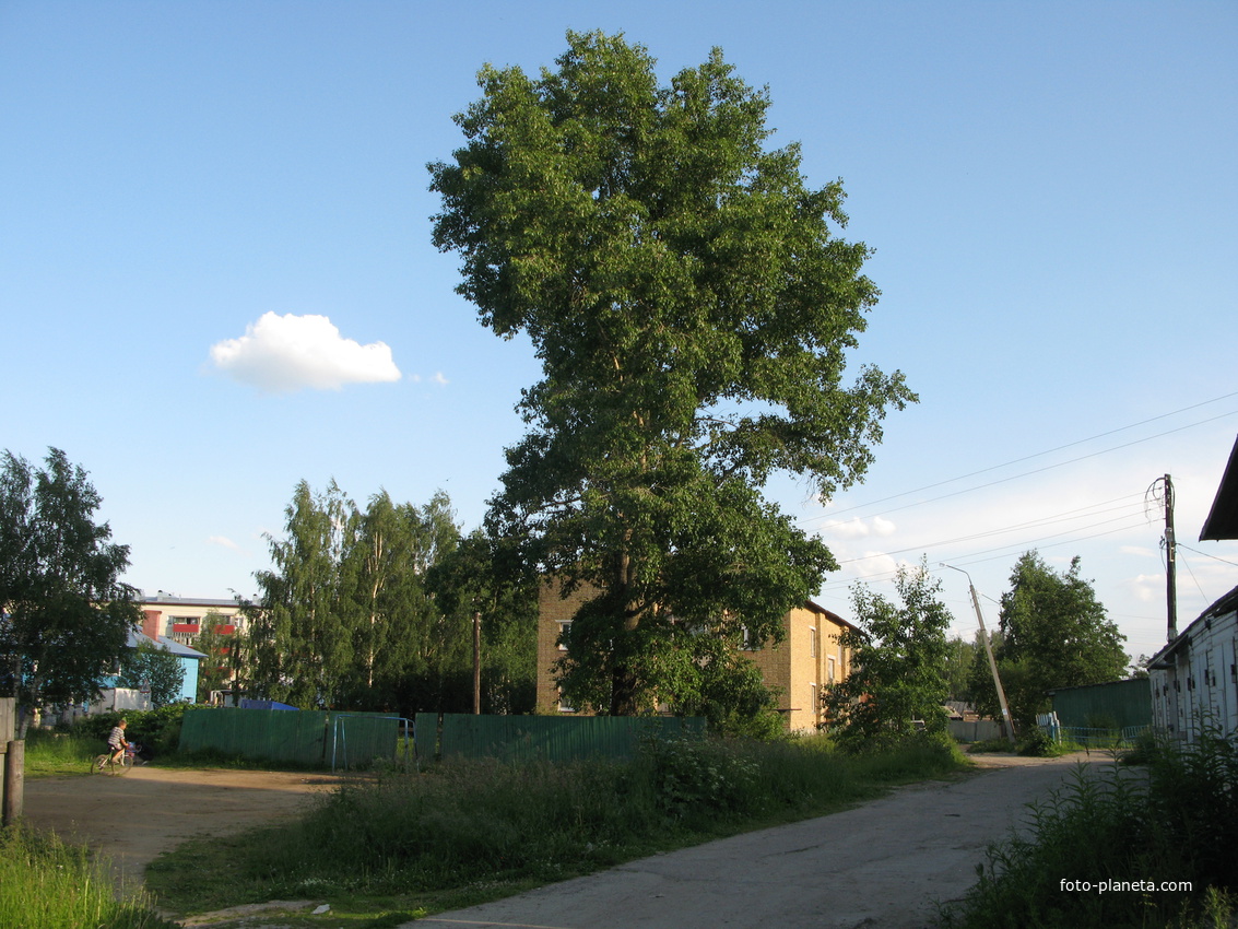 Выльгорт 2014 - ул. Рабочая