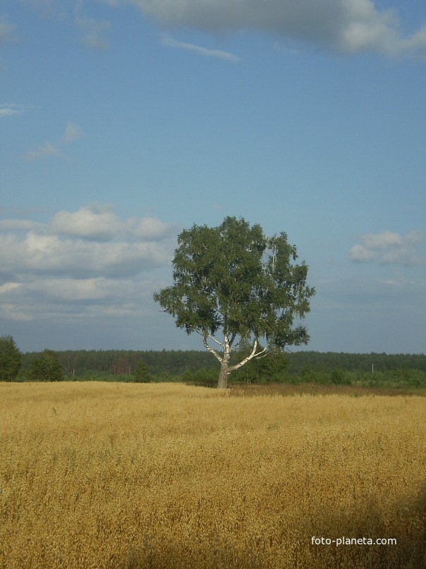 Межуйки