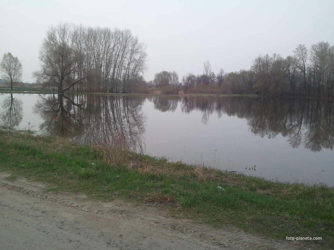 Село Ярмаки. Дорога на Петрівці. Весняний розлив