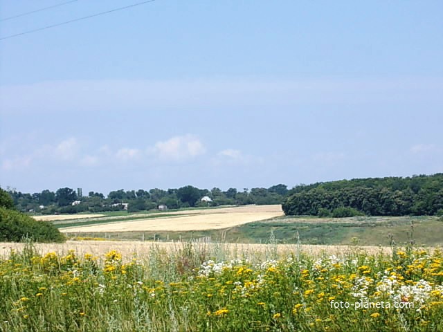 Вид на село Просяное со стороны Новой Водолаги.