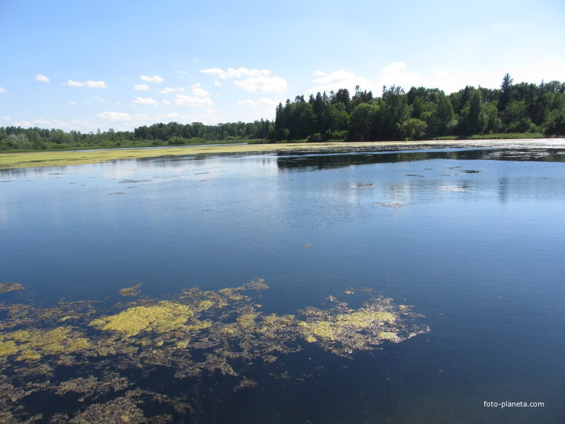 Водоёмы Ропша