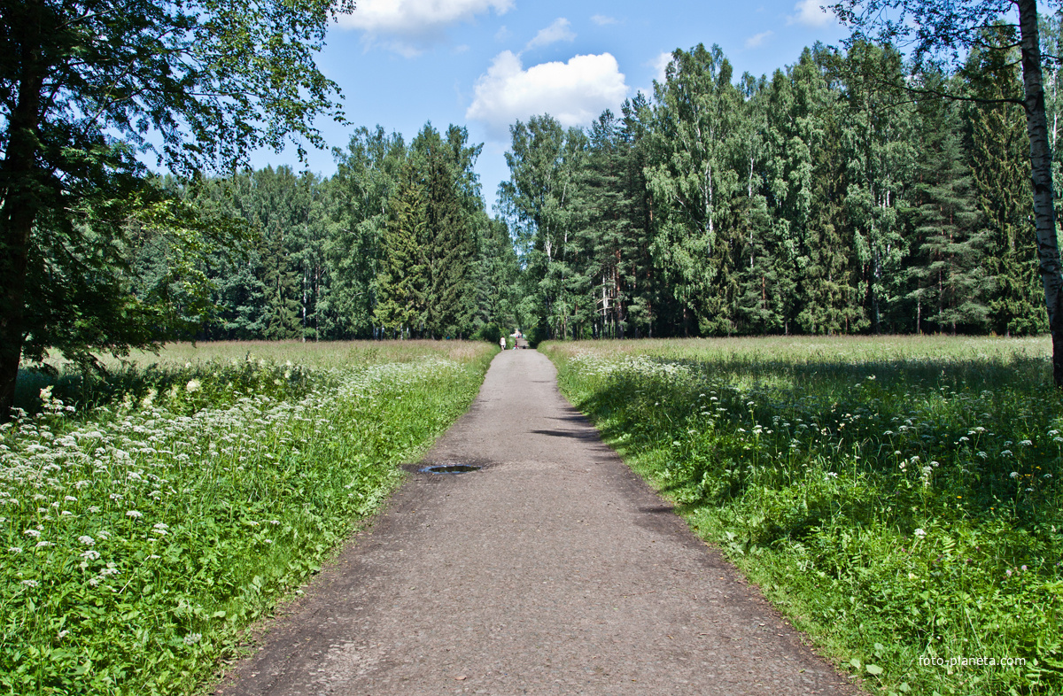 Дорожка в парке