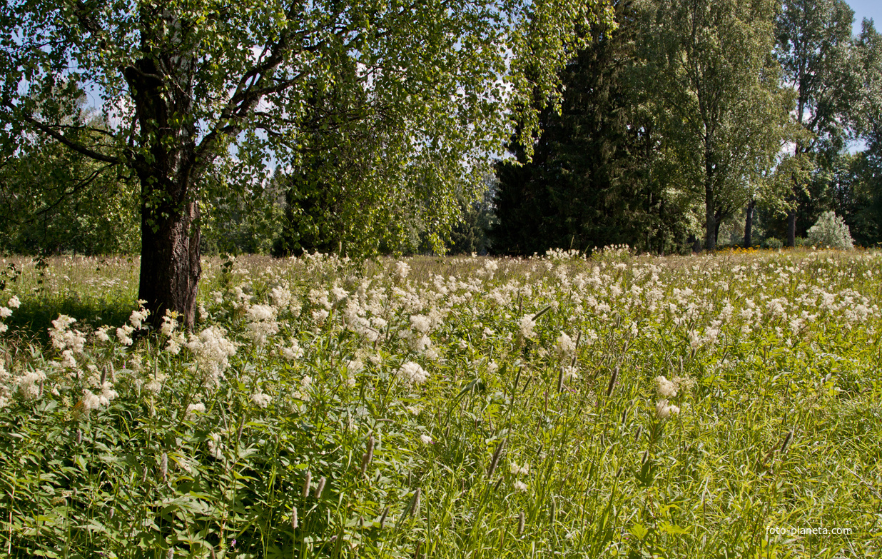 Павловский парк