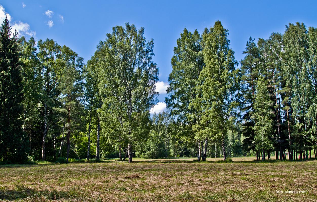 Павловский парк