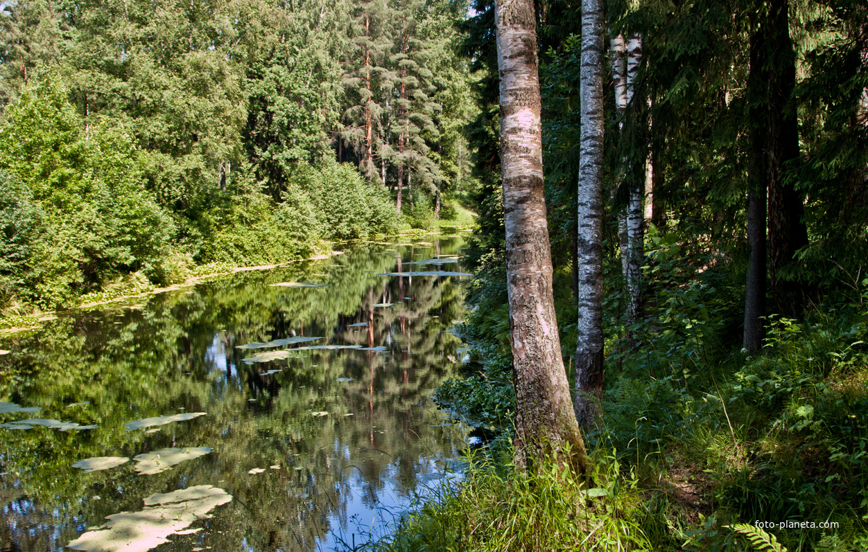 Павловский парк