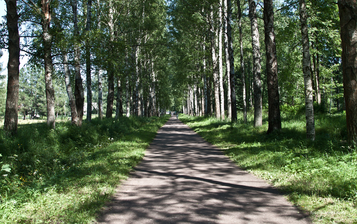 Павловский парк