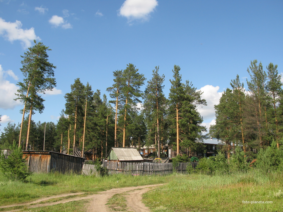 Седкыркещ 2014