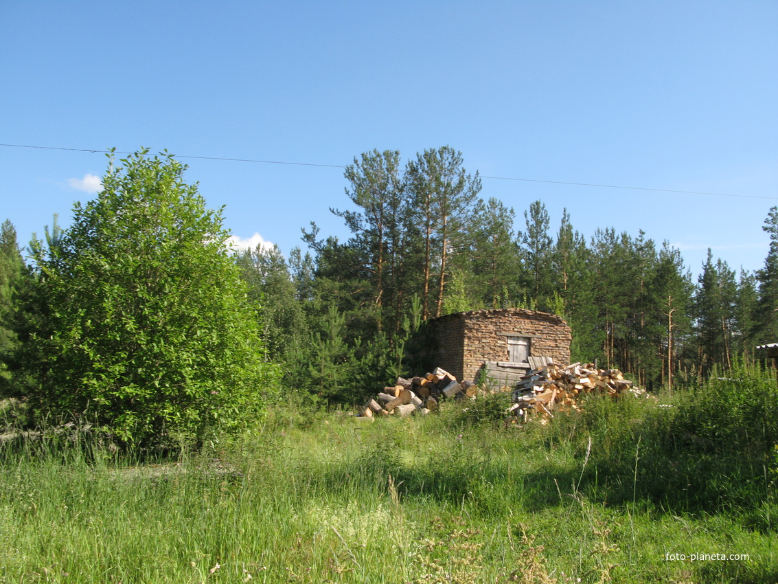 Седкыркещ 2014