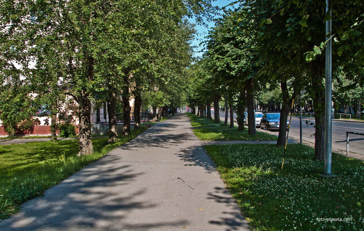 Таллинское шоссе