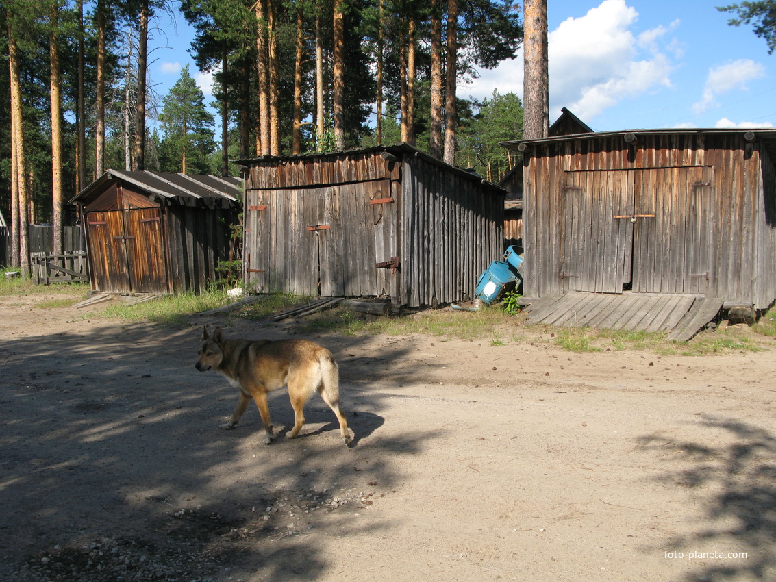 Седкыркещ 2014