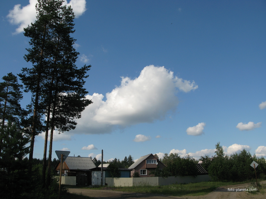 Седкыркещ 2014