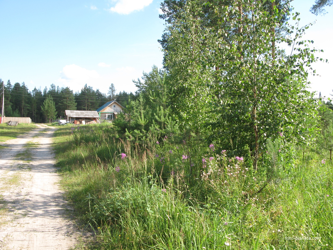 Седкыркещ 2014