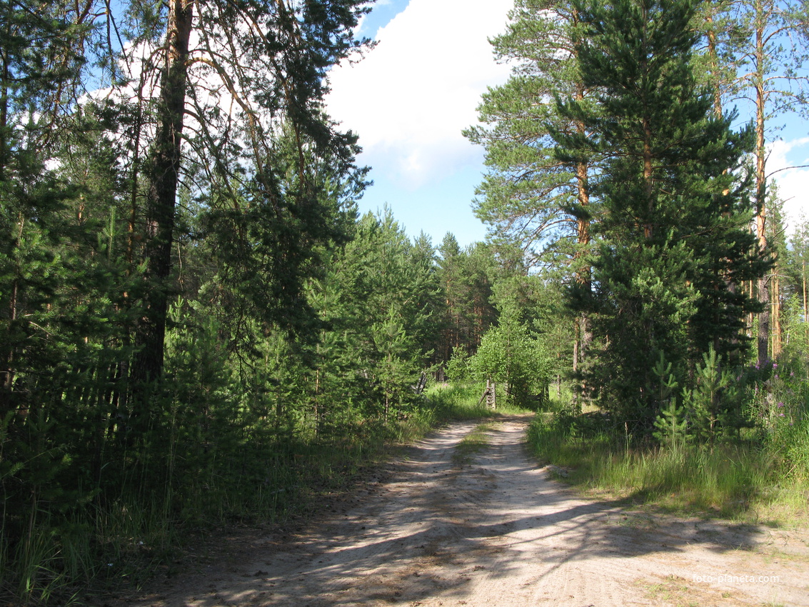 Седкыркещ 2014