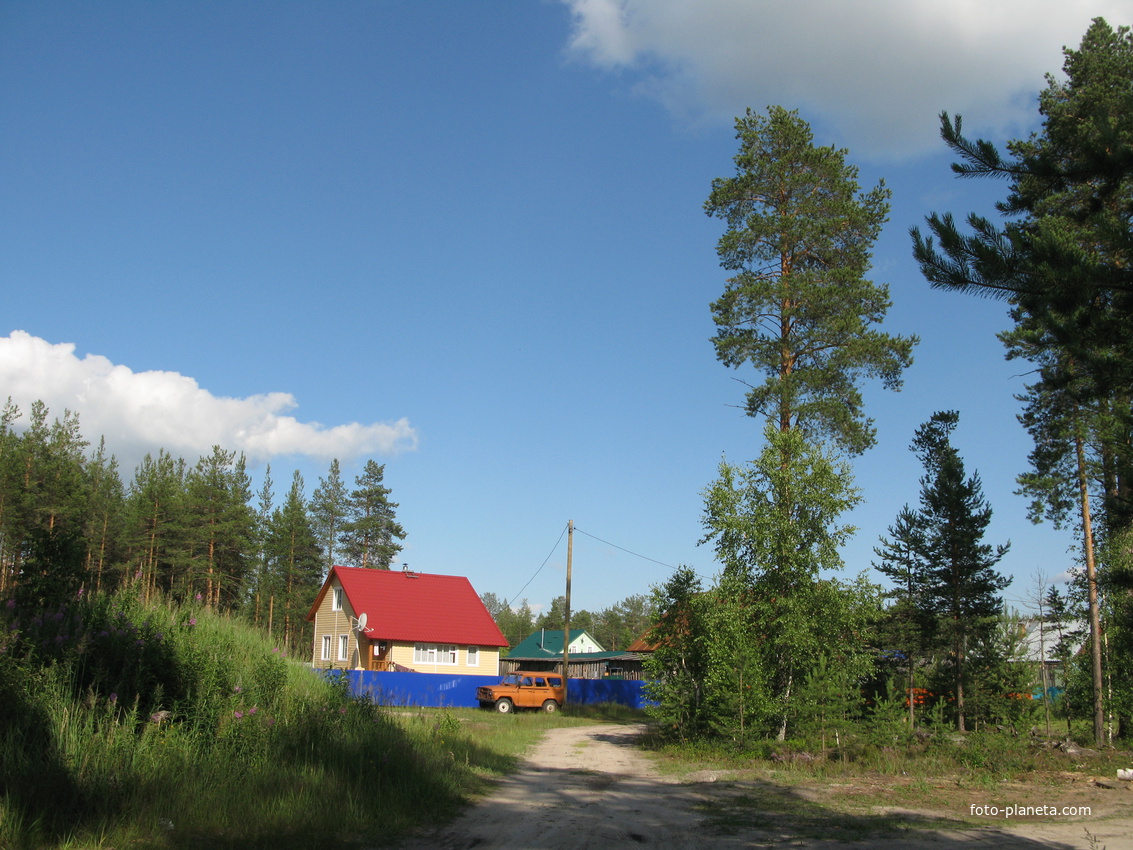 Седкыркещ 2014