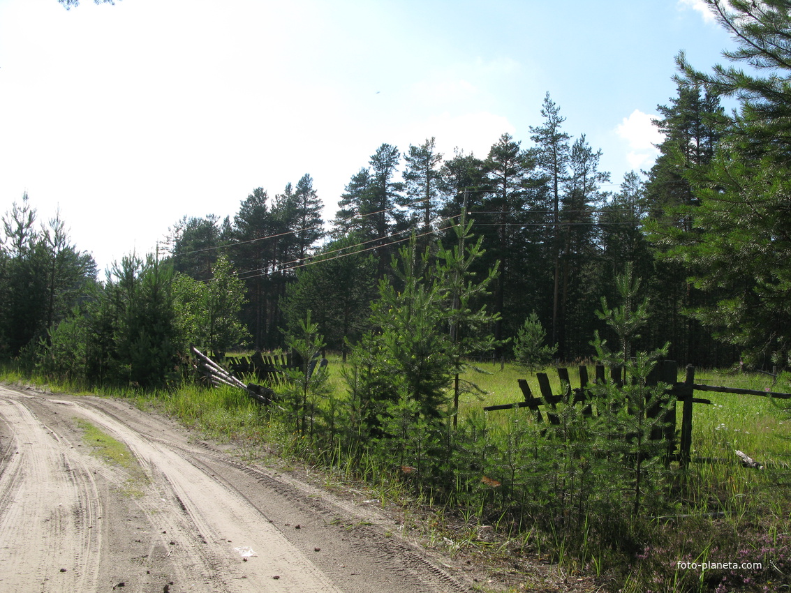 Седкыркещ 2014