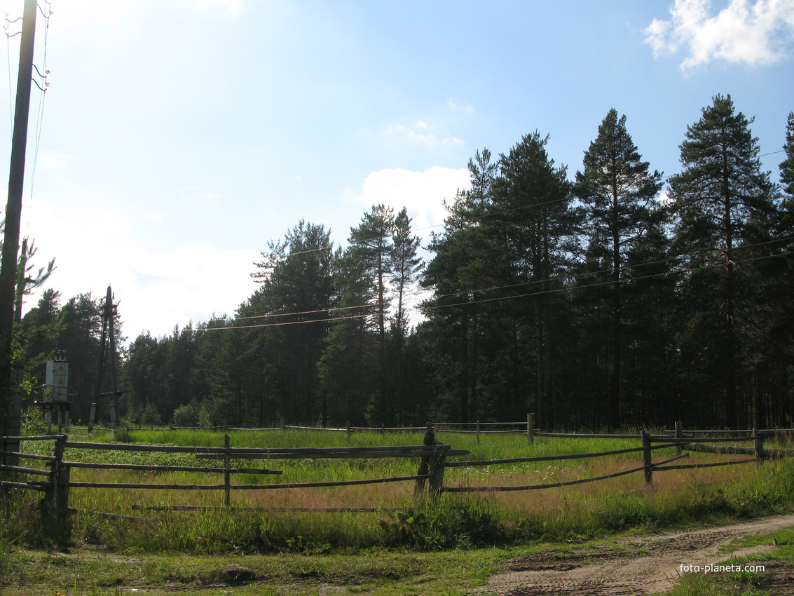 Седкыркещ 2014