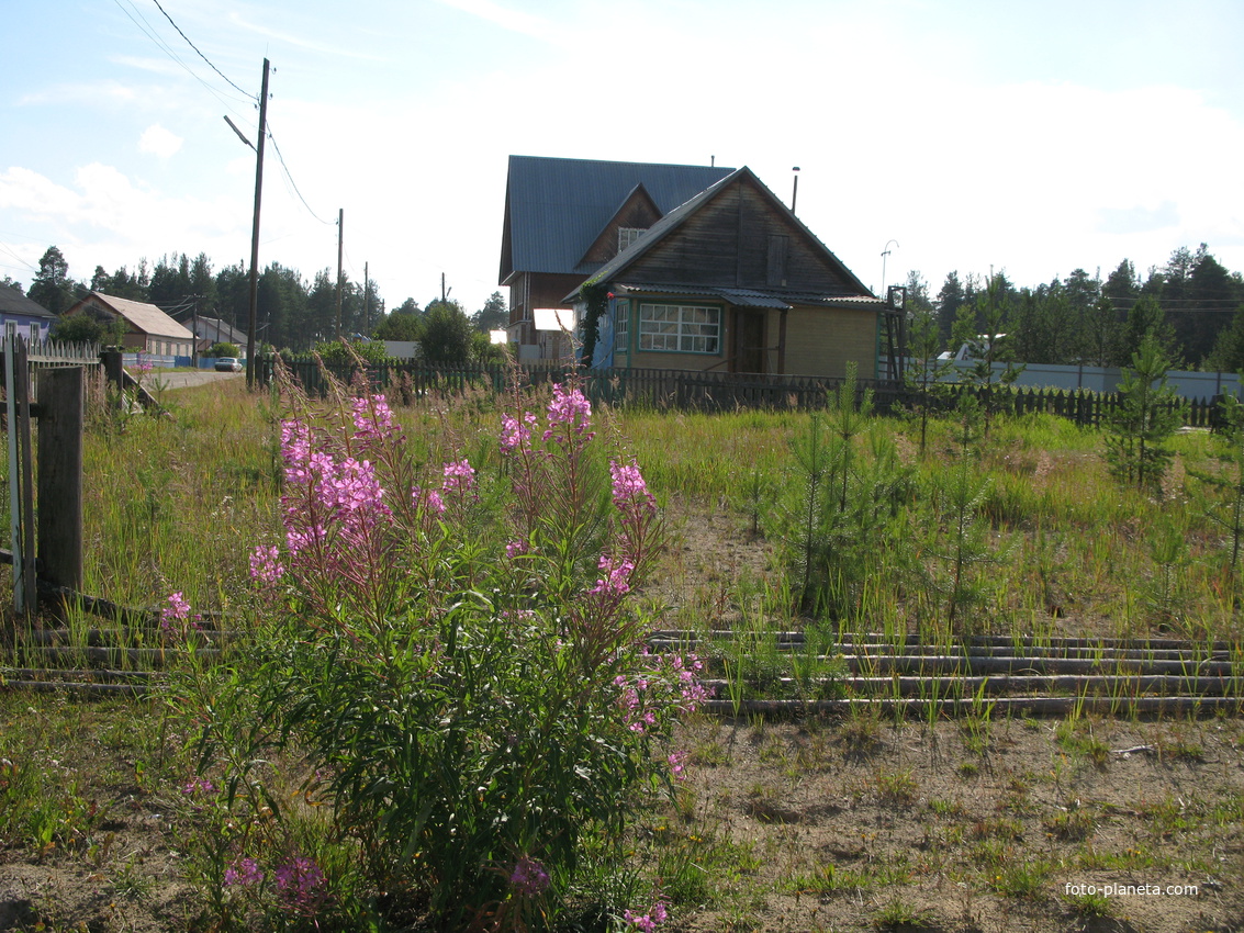 Седкыркещ 2014
