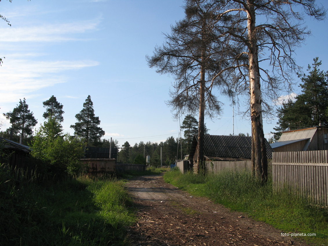 Седкыркещ 2014