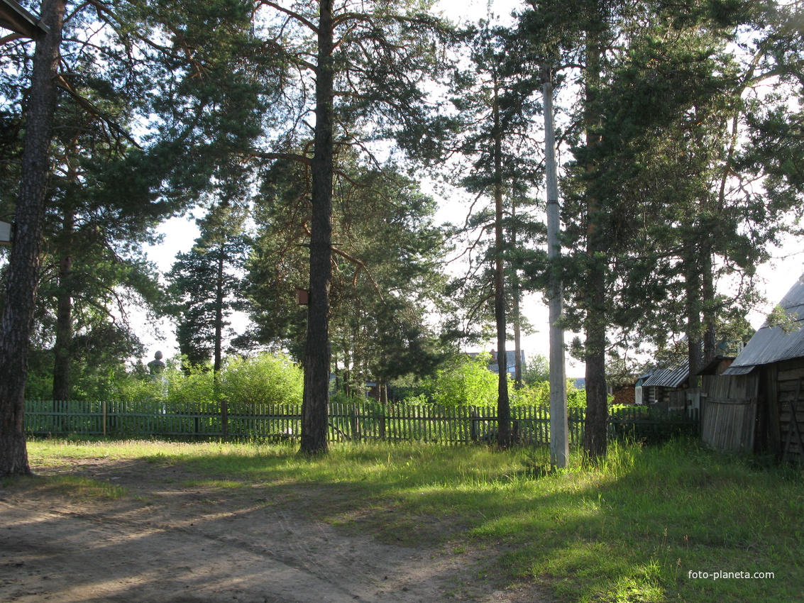 Седкыркещ 2014