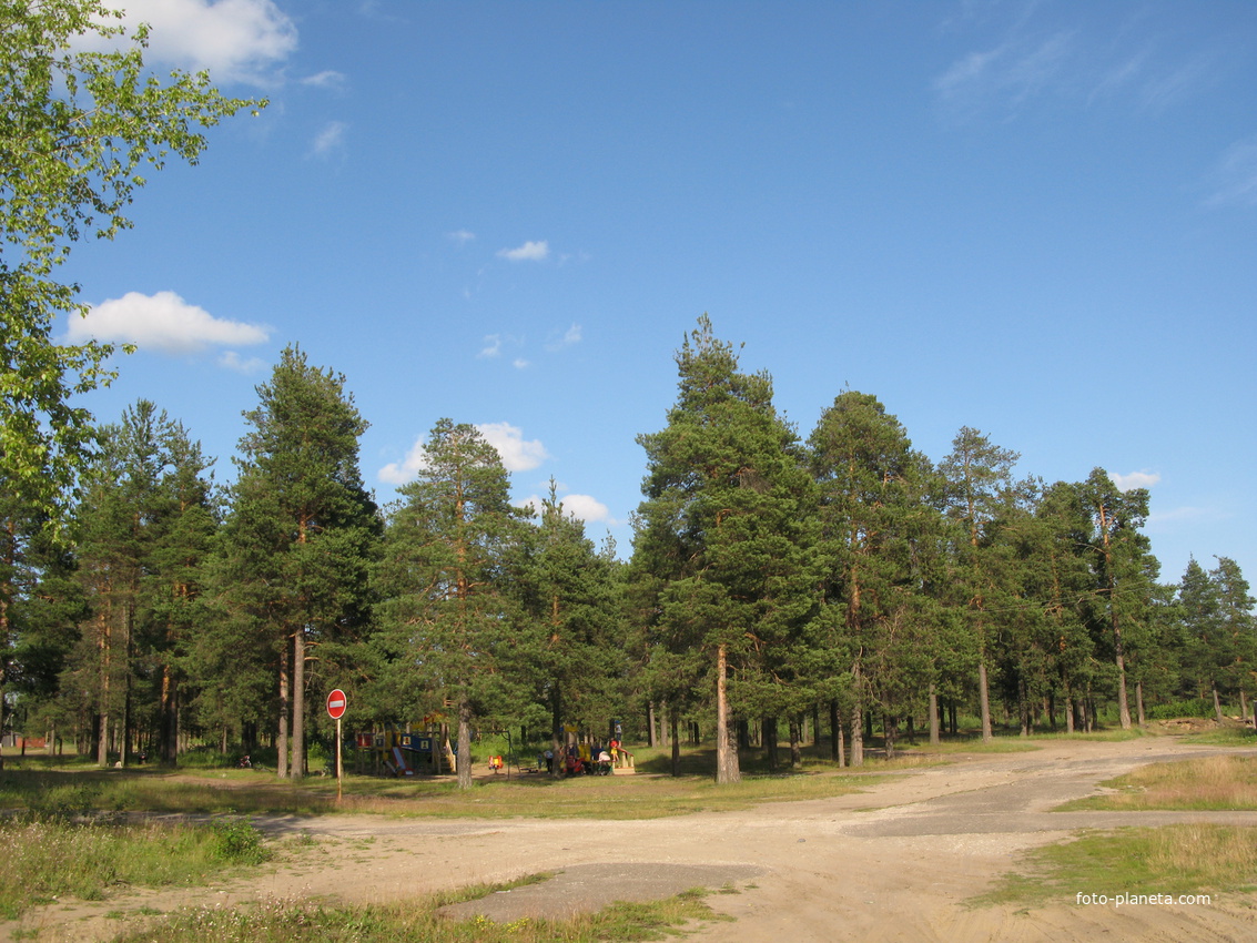 Седкыркещ 2014