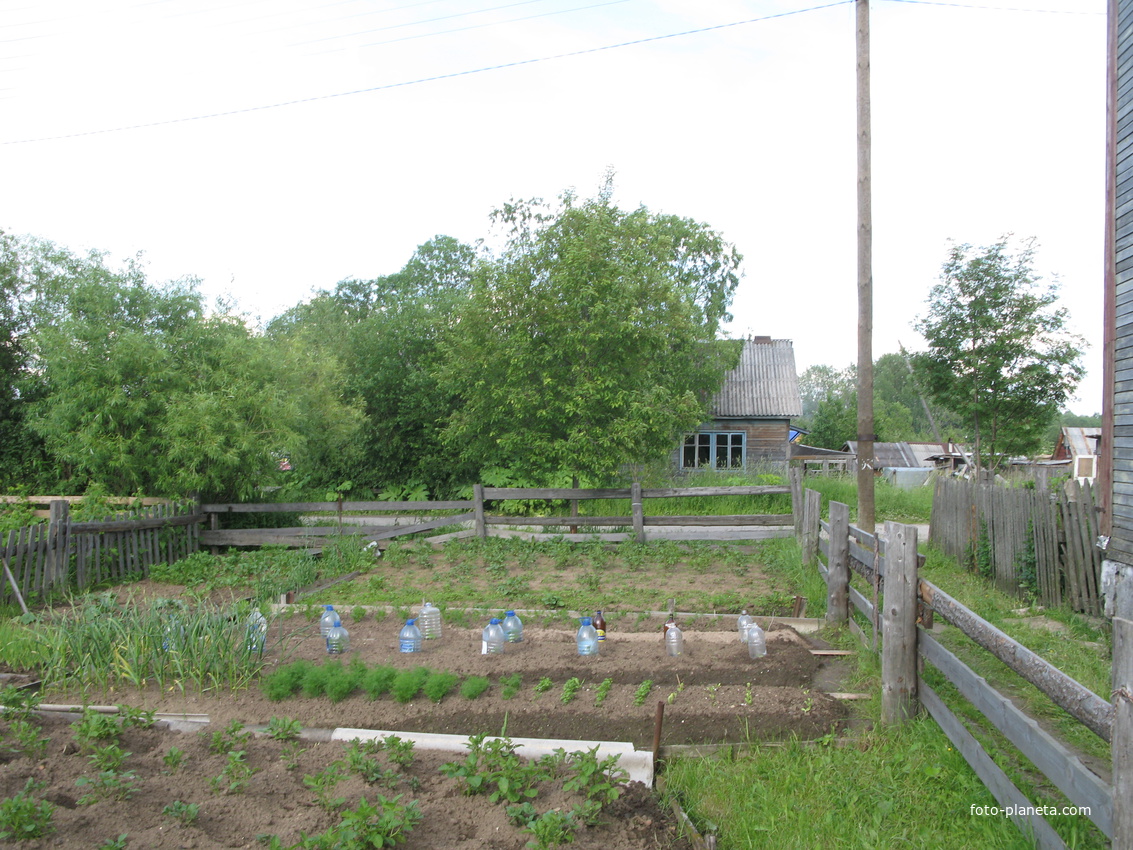 Выльгорт 2014 - ул. Рабочая