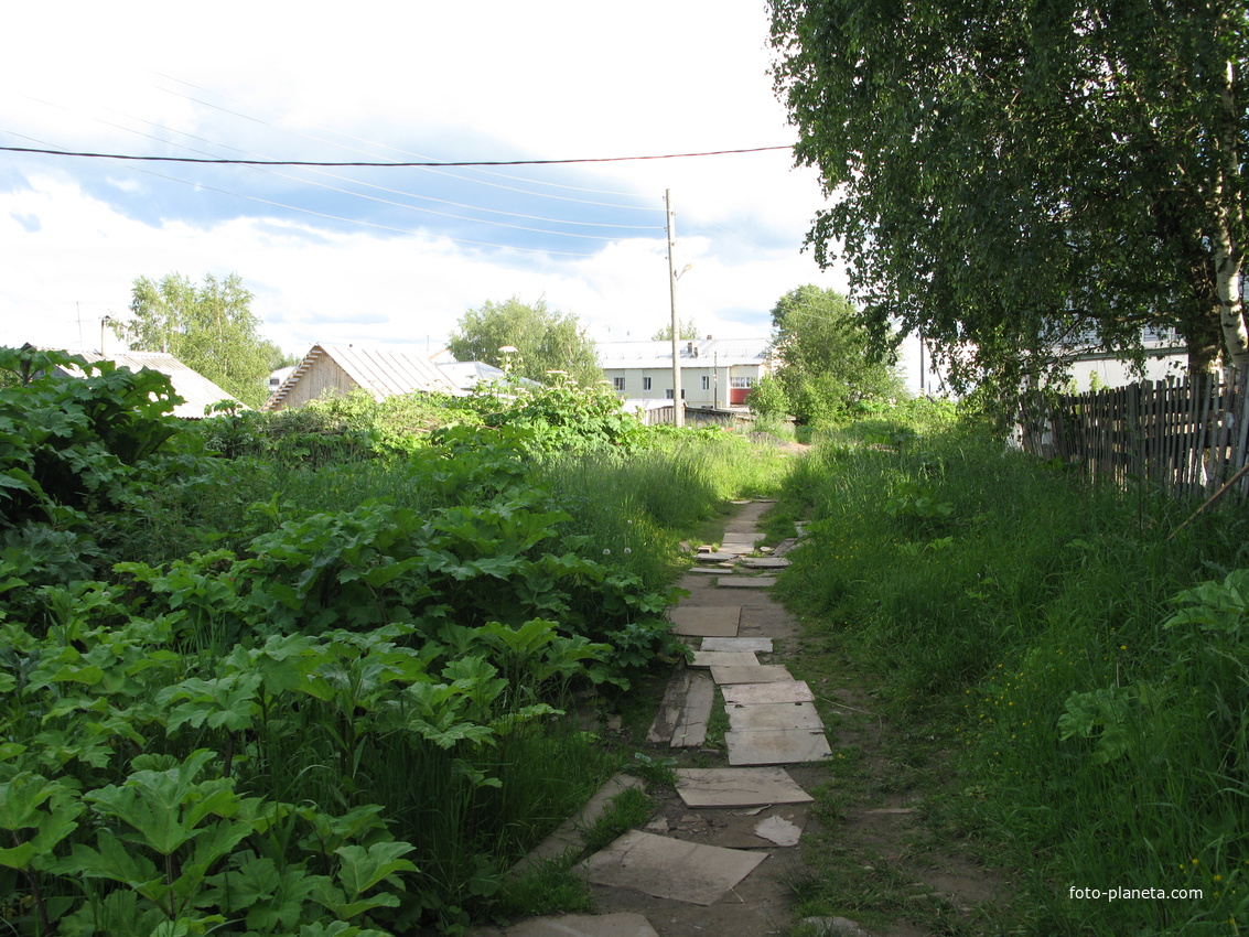 Выльгорт 2014 - ул. Рабочая