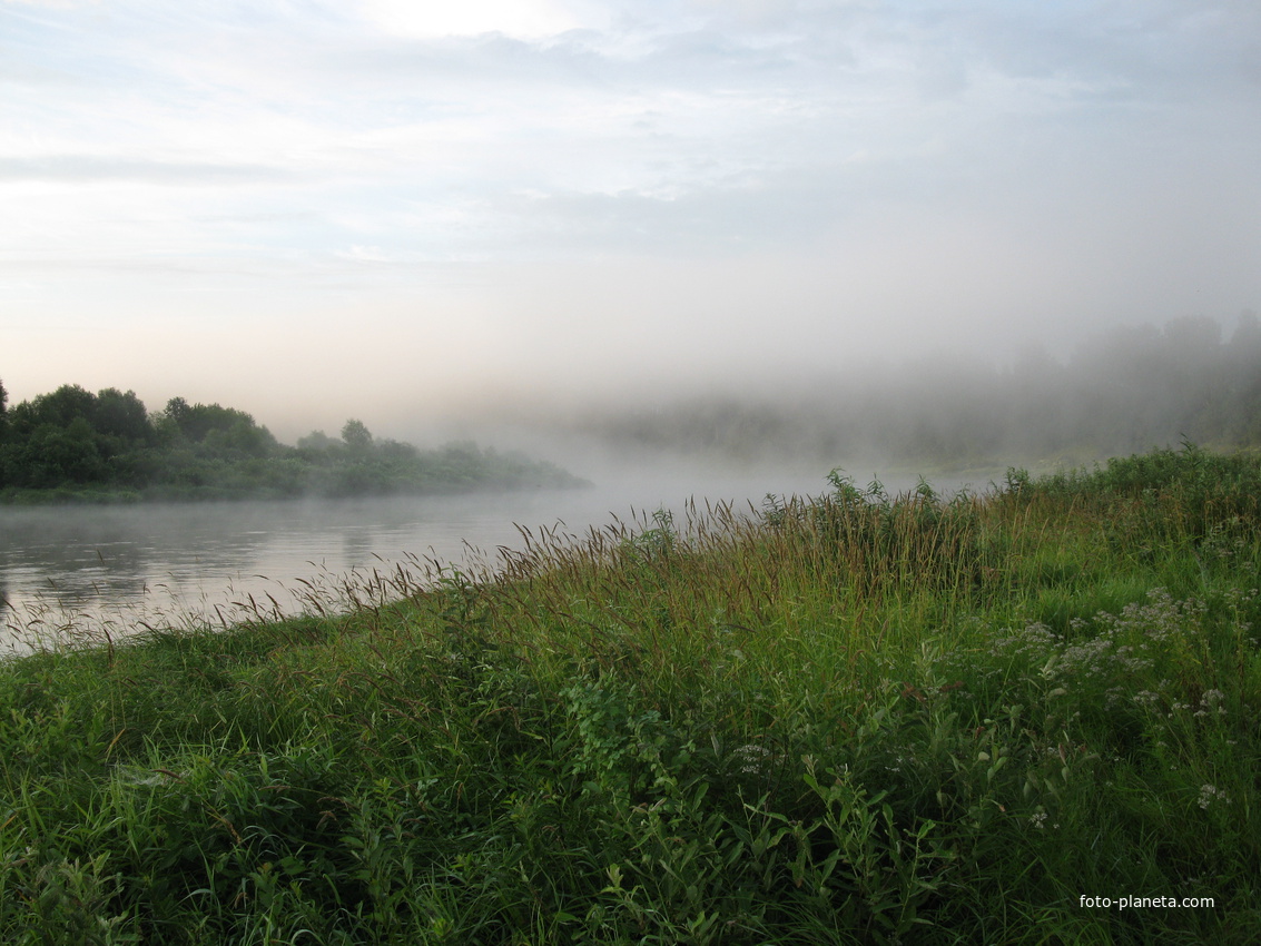 Утренний туман