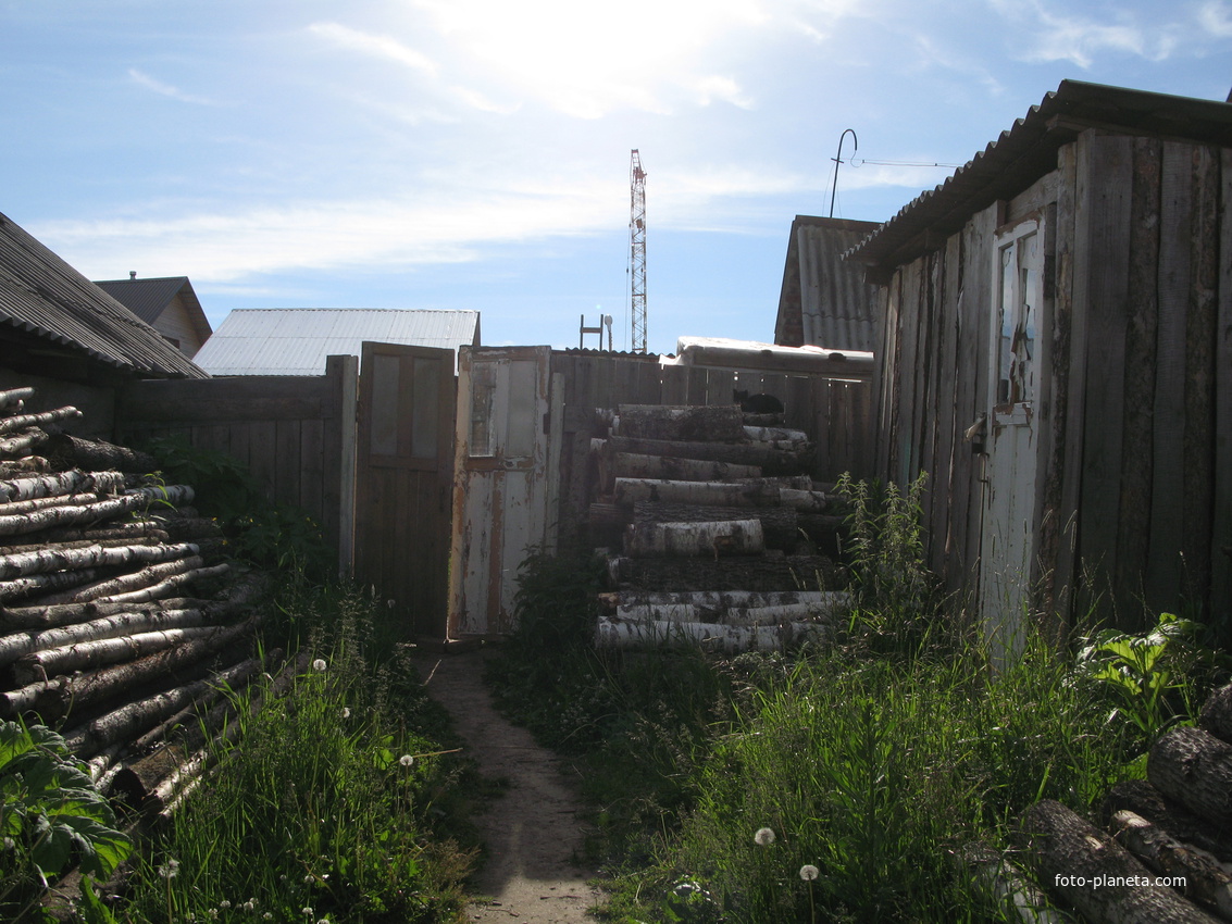 Выльгорт 2014