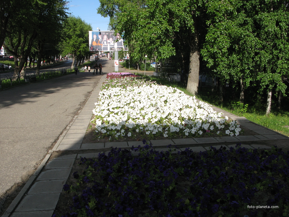 Сыктывкар 2014