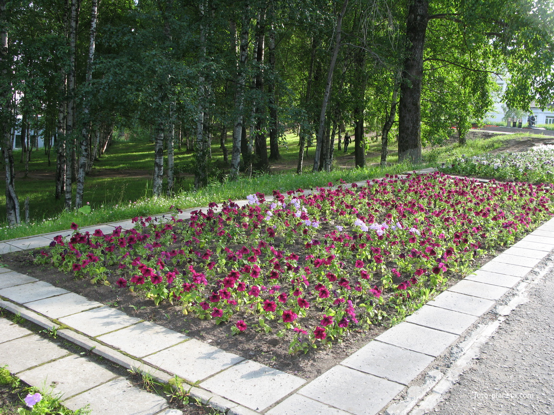 Сыктывкар 2014